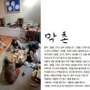 막촌 네이버블로그