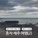 동문그린세탁소 | 혼자 제주 여행(2)