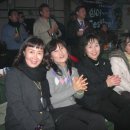 티나세