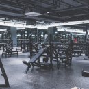 바디메이트 이미지