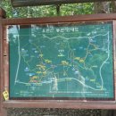 우면산7-2-9 이미지