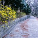 신선대산복로 네이버블로그