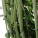 골덴세탁소 이미지