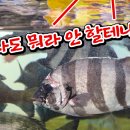 이용수산 티스토리