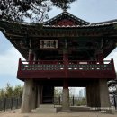 한국후지필름구리점 | 국내 5월 여행지 추천 봄꽃 구경은 인스탁스로 남긴 보물 같은 순간들!