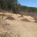 창성농장 이미지