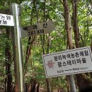 삼박골 이미지