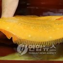 풍어영어조합법인 - 거제시 | 풍어영어조합법인
