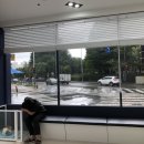 첨단사랑동물병원 이미지