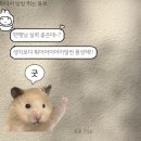 노노먼트