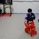 조천체육관 이미지