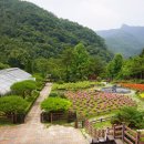 운암식당 이미지