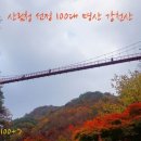 221029_[100명산] ＜순창＞ 강천산 애기단풍 이미지