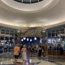 팝호텔 | 올랜도 디즈니월드 호텔 팝센츄리 Disney’s Pop Century Resort 후기💙