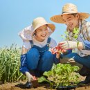 새마을 농장 이미지