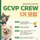 녹십자수의약품주식회사 | 강아지를 사랑하는 여자, 녹십자수의약품 서포터즈가 되다! - GCVP CREW 1기 발대식 후기 🐾-