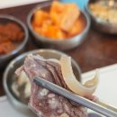 김포소한마리 | 천안시청맛집 현대정육점 신불당본점 육회비빔밥&소한마리모듬수육 솔직후기