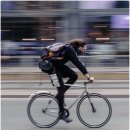 에덴케어 이미지