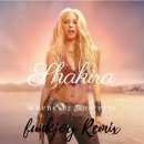 Whenever, Wherever - Shakira 이미지