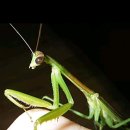 서대문 우태하 피부과의원 이미지