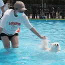 명 축산동물병원 이미지