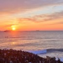 2025 간절곶 해맞이 행사 이미지