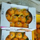 솔봄농장 이미지