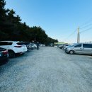 6월8일 서산 황금산 이미지