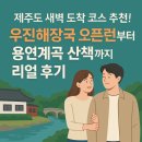 제주도 새벽 도착 코스 추천! 우진해장국 오픈런부터 용연계곡 산책까지 리얼 후기