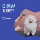 체크업동물병원 이미지