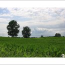 고운목장 이미지