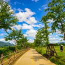 두물머리 화장실 이미지