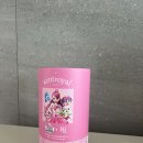 켄트로얄 티니핑 칫솔 솔직후기