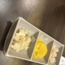 신라이사부독도참치 이미지