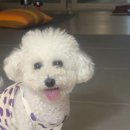 미스터 그루밍 | 마지막 데이트 그리고 기다리던 아기와 만남 출산 후기!