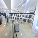 퍼피캣 강아지분양 인천루원시티점 이미지