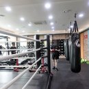 킹콩 복싱 아카데미 이미지