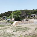 천본1리 이미지