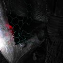 관상농장 이미지