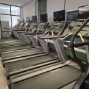 스페셜 바디 이미지