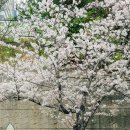 영도제일중학교 이미지