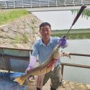 전통영암어란