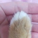 수송반려동물병원 이미지