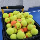 오렌지볼 실내 테니스 아카데미 이미지