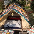 은행나무 펜션 이미지