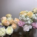 빛마루농장 이미지