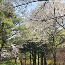 동양축산병원 | [주간일기] 26년 4월 세 번째 주간일기