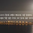 시간의 온기 이미지