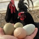 석원농장 이미지