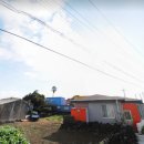 표선리-21 이미지